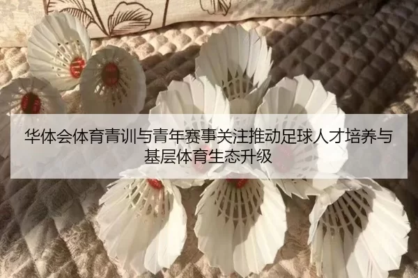 hua-ti-hui-ti-yu-qing-xun-yu-qing-nian-sai-shi-guan-zhu-tui-dong-zu-qiu-ren-cai-pei-yang-yu-ji-ceng-ti-yu-sheng-tai-2-268.jpg