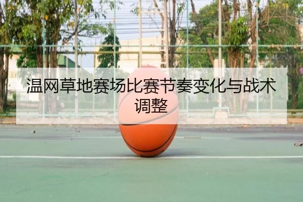 img_1781103542913_799_2_618.jpg